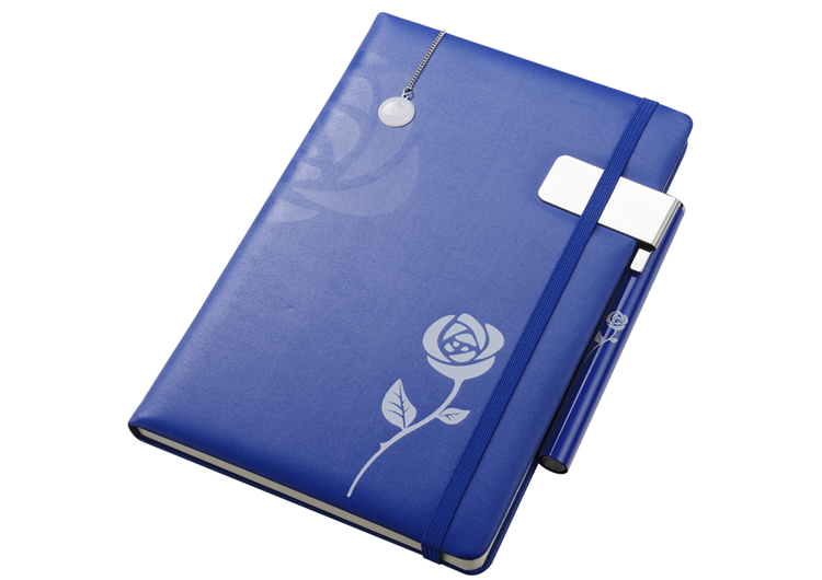 NANV  本子+笔+书签套装